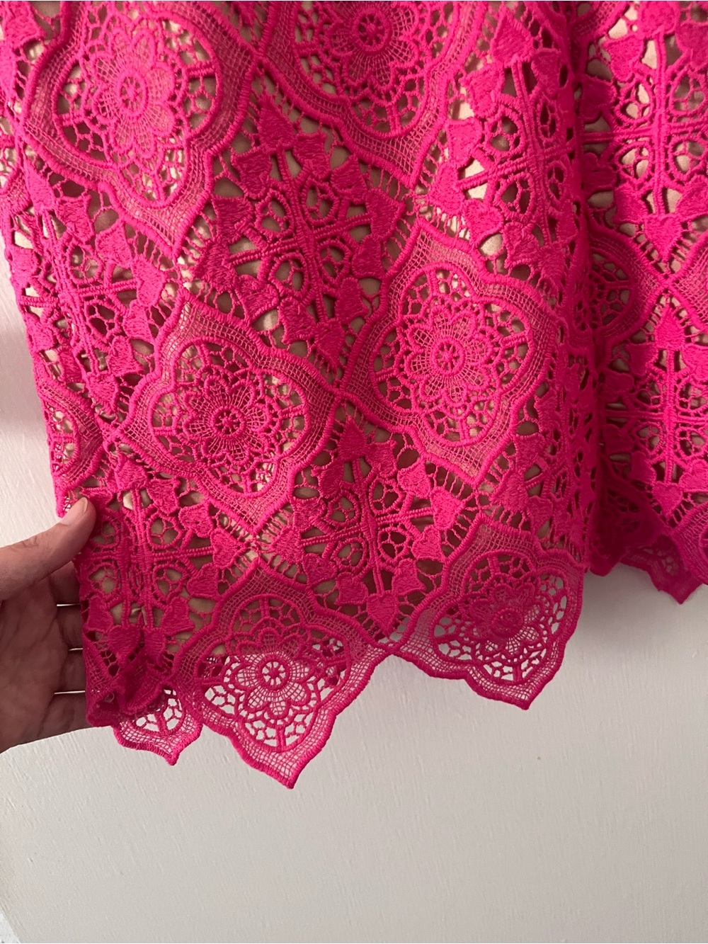 Eliza J. Hot Pink Magenta Crochet Lace Overlay Sleeveless Dress Scalloped 0P - Picture 8 of 13